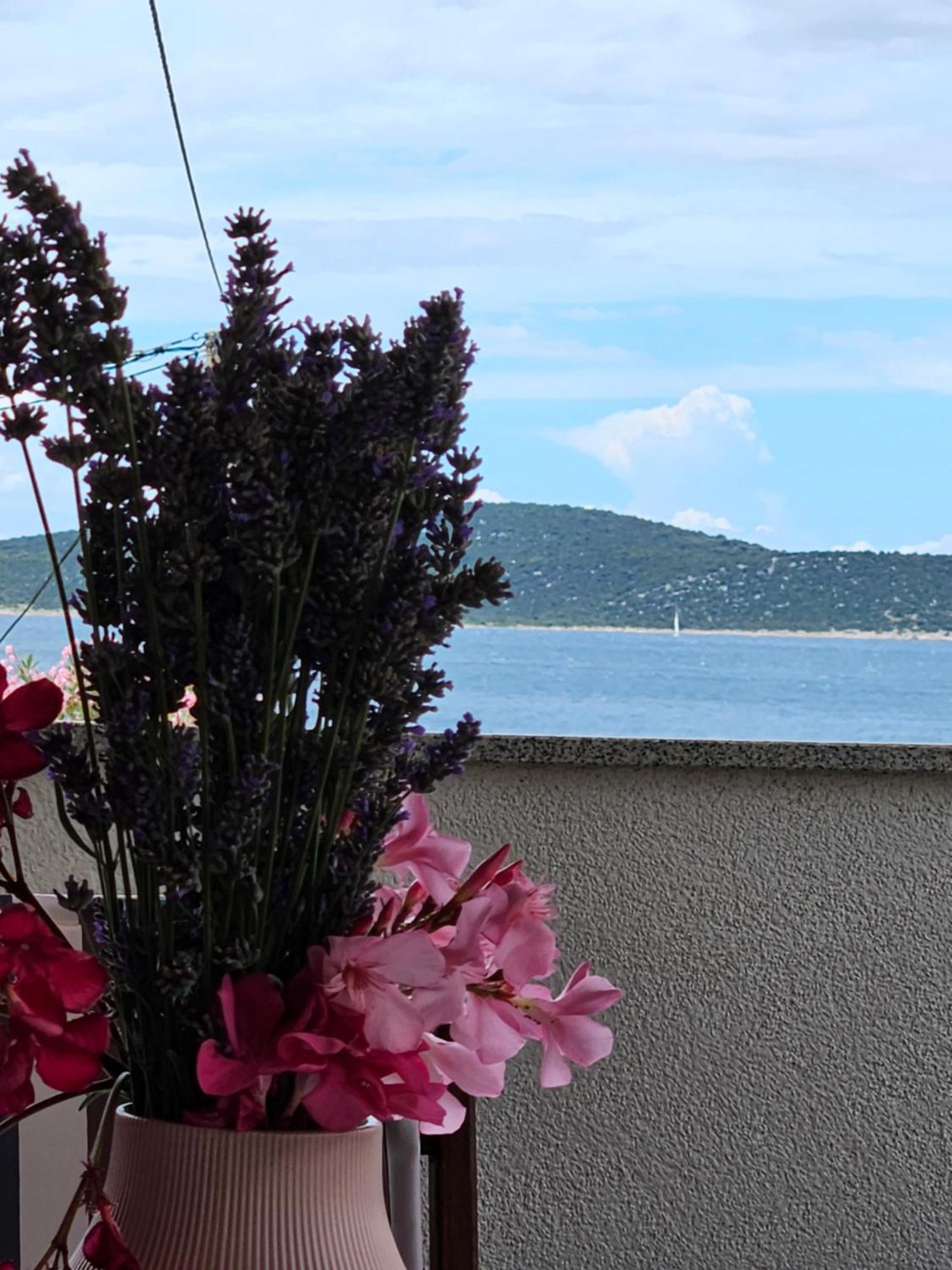House Tereza Leilighet Vodice Eksteriør bilde